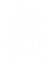 Icons The Ants